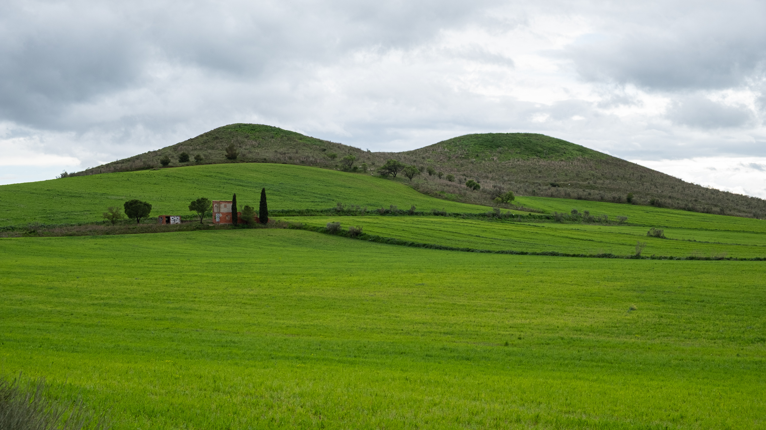 Sanft geschwungene Hügel in Grün und Beige